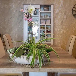 Beach Luxury Appartement
